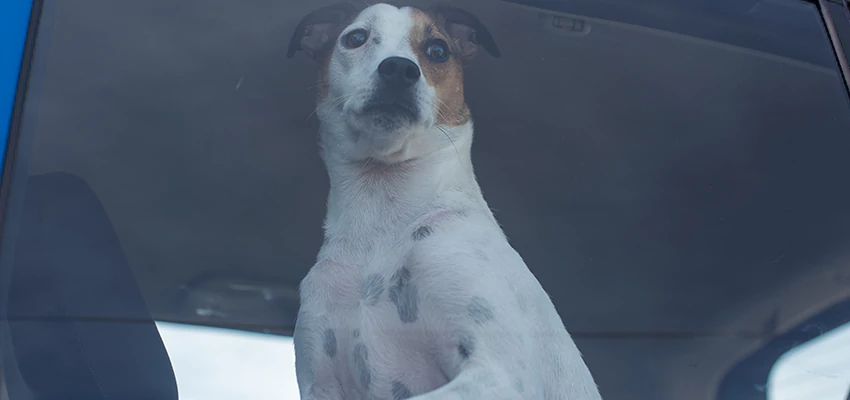 Car Lockout Solutions in Stockton, California